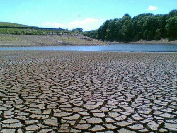 Naučnici: Prošla godina bila najtoplija ikad, najviše su krivi ljudi