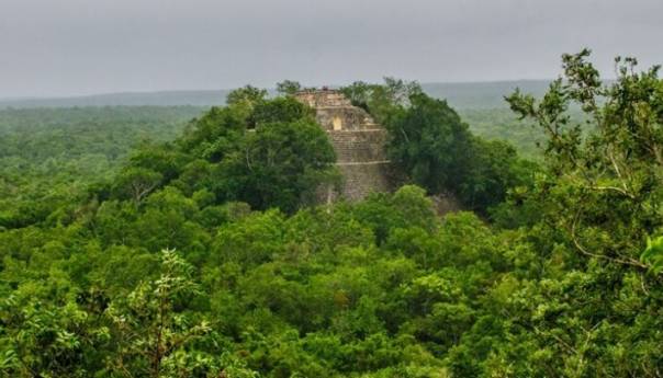 Naučnici se u meksičkoj džungli pripremaju za buduće pandemije