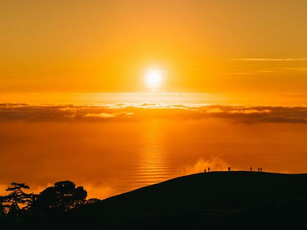 Naučnici tvrde: Juni je postao novi juli