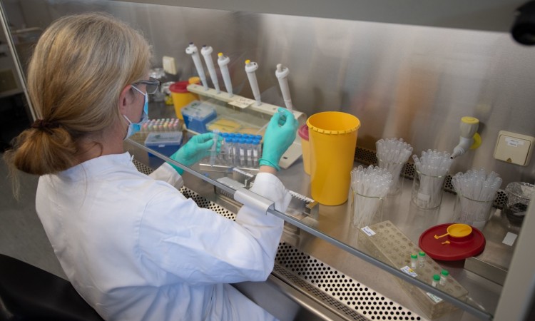 Naučnici u Beču istražuju mutacije koronavirusa pomoću nove test metode