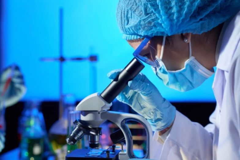 Naučnici u laboratoriji došli do davno izumrle vrste