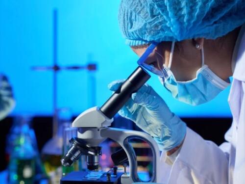 Naučnici u laboratoriji došli do davno izumrle vrste