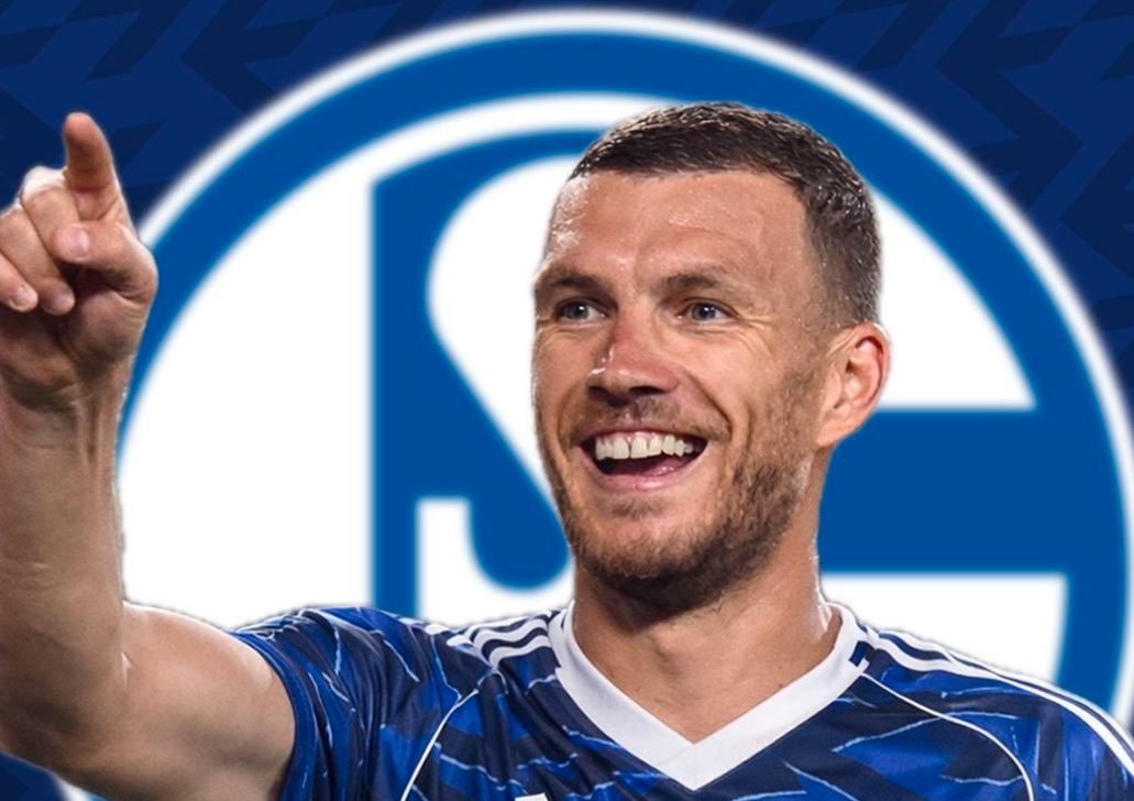 Navijači Schalkea već kupuju dresove s imenom Edina Džeke