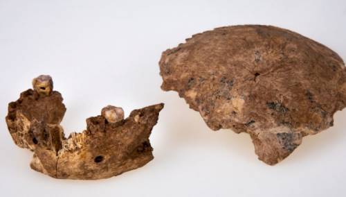 Neandertalci nemaju čisto evropsko porijeklo