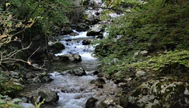 Neka svaki dan bude dan akcije za rijeke