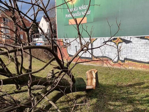 Neko je u Sarajevu posjekao stablo staro 40 godina, KJKP Park ljut na građane