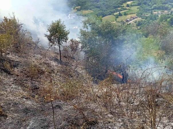 Ugašeni požari u Gradačcu, Gračanici, Lukavcu i Živinicama, apel građanima