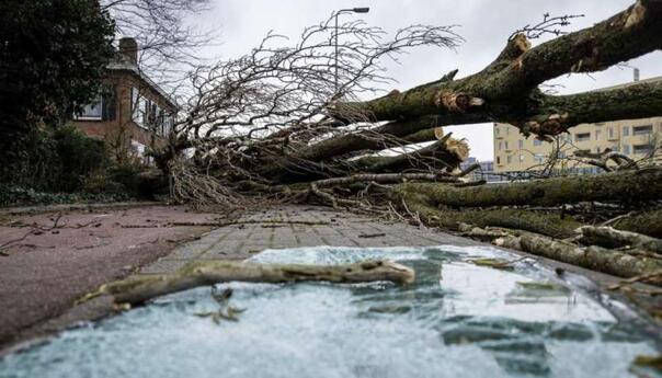 Nekoliko oborenih stabala i stubova rasvjete u KS
