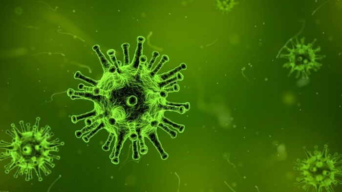 Nema dokaza da se koronavirus širi u Sjedinjenim Državama