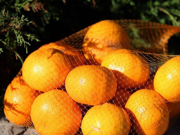 Nema informacija o mandarinama sa pesticidima na tržištu BiH