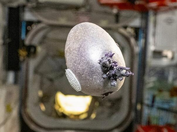 Neobičan prizor iz svemira: Misteriozni "vanzemaljac" zbunio javnost