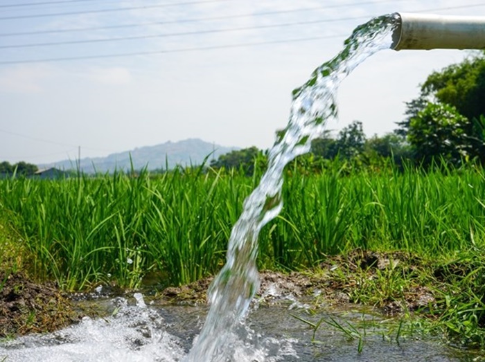 Neodržive prakse navodnjavanja i klimatske promjene: Ubrzano padaju nivoi podzemnih voda u svijetu