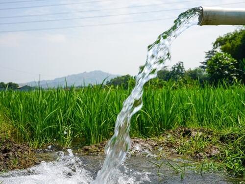 Neodržive prakse navodnjavanja i klimatske promjene: Ubrzano padaju nivoi podzemnih voda u svijetu