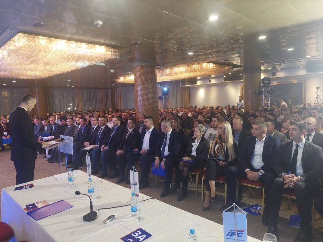 Nešić reizabran za predsjednika DNS-a