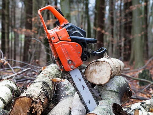 Nesreća kod Jagodine: Muškarca ubilo drvo