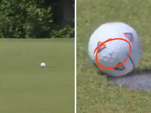 Nevjerovatna sreća: Muha pomogla golferu da ubaci loptu i zaradi dva miliona dolara