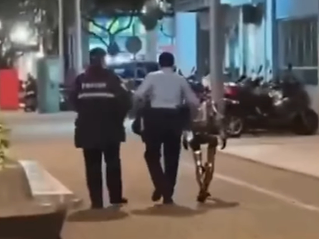 Nevjerovatno, ali istinito: U Kini uhapšen robot