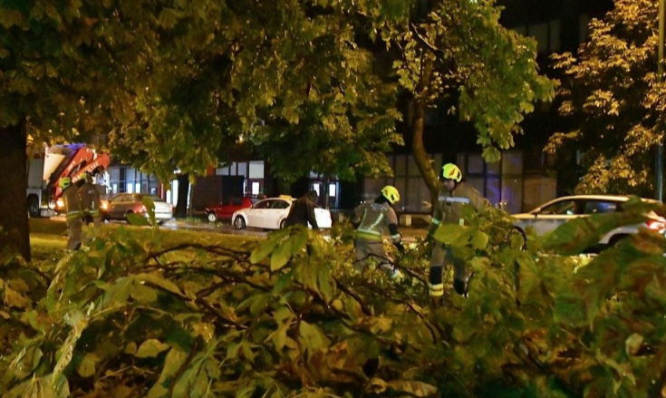 Nevrijeme pogodilo Sarajevo: Olujni vjetar srušio drvo na Pofalićima, vatrogasci na terenu