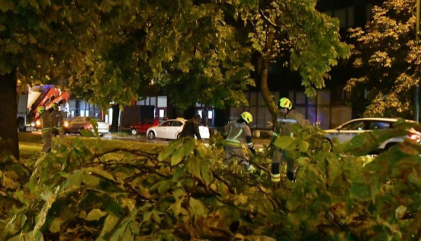 Nevrijeme pogodilo Sarajevo: Olujni vjetar srušio drvo na Pofalićima, vatrogasci na terenu
