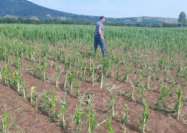 Nevrijeme praćeno gradom uništilo usjeve na sjeveru BiH