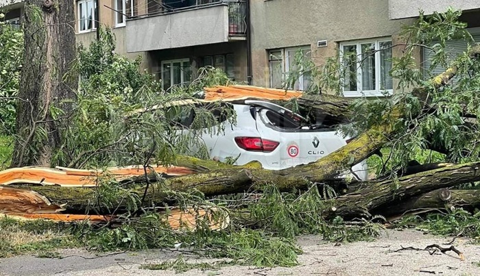 Nevrijeme u Bihaću: Vjetar trgao drveće