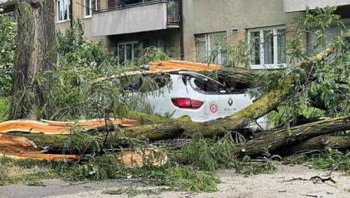 Nevrijeme u Bihaću: Vjetar trgao drveće