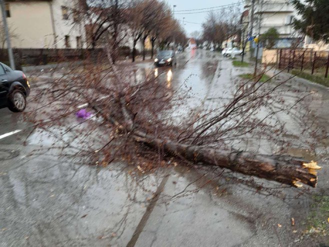Nevrijeme u Bijeljini, vjetar obarao stabla