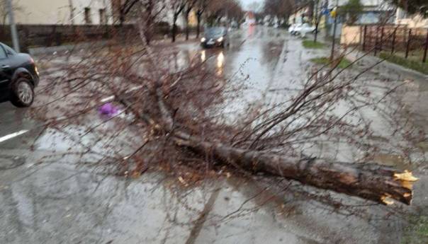 Nevrijeme u Bijeljini, vjetar obarao stabla