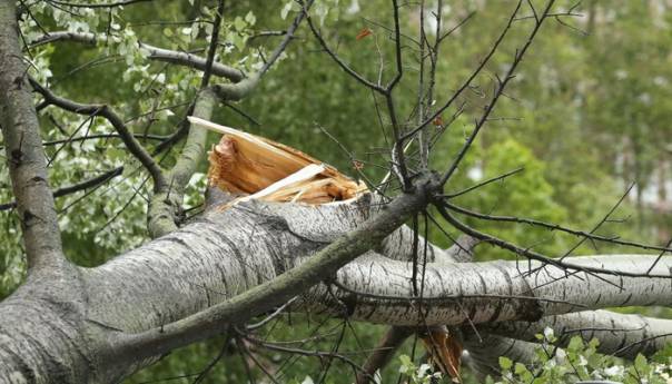 Nevrijeme u Hrvatskoj: Vjetar iščupao stablo, pada kiša i susnježica