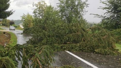 Nevrijeme u Hrvatskoj, vjetar nosio stabla, ulice poplavljene