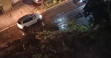 Nevrijeme u Sarajevu, vjetar oborio drvo i banderu