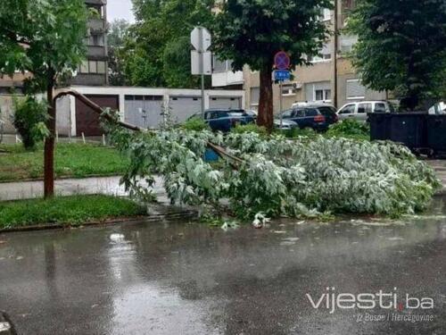 Nevrijeme u Tuzli: Polomljeno drveće, otežan saobraćaj