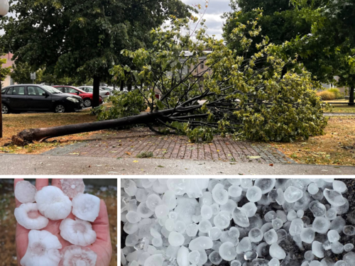 Nevrijeme zahvatilo Brčko, vjetar čupao drveće i rušio bandere