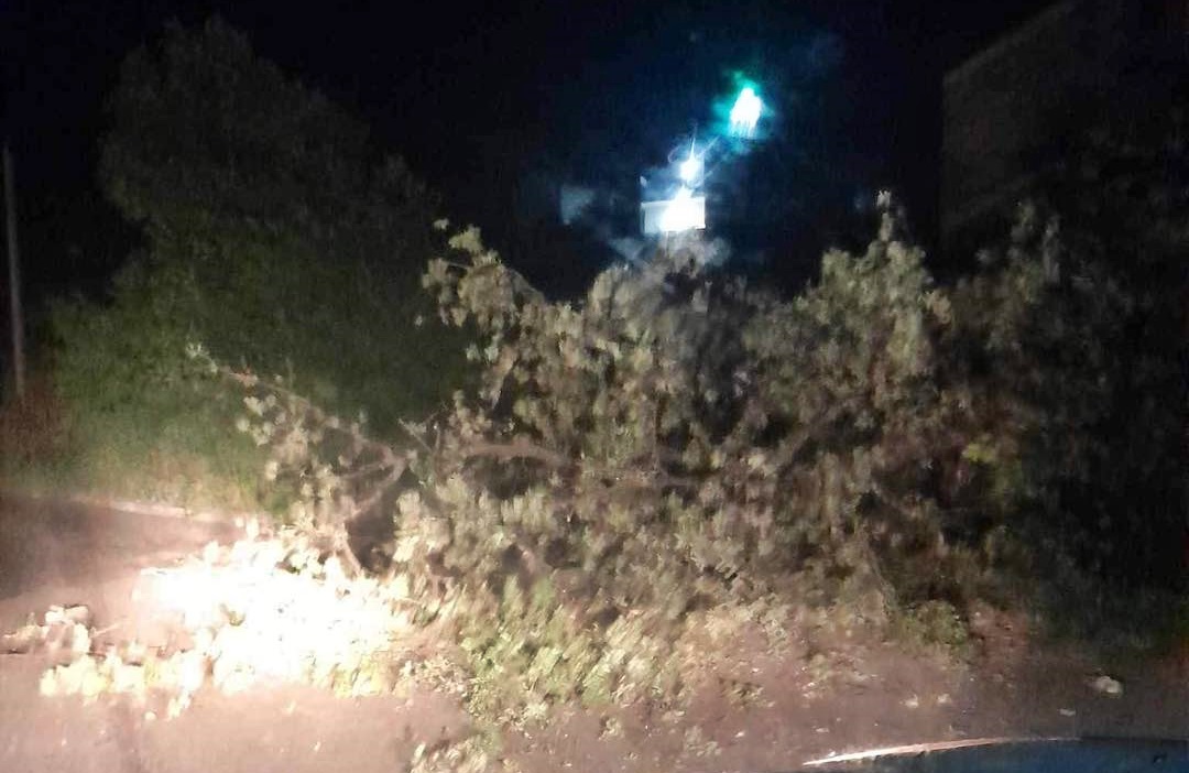 Nevrijeme zahvatilo dijelove BiH, vjetar obarao stabla