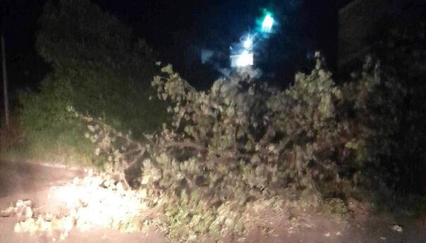 Nevrijeme zahvatilo dijelove BiH, vjetar obarao stabla