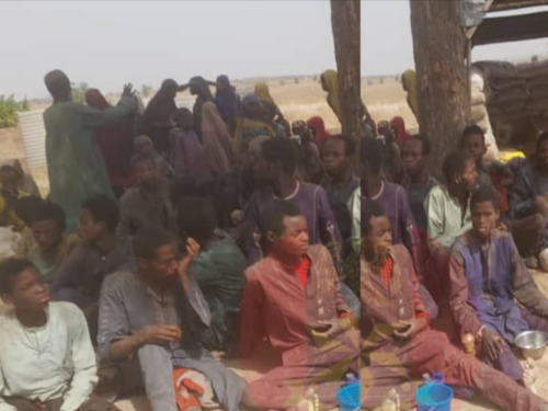 Nigerijska vojska oslobodila 62 taoca u operacijama protiv naoružanih bandi