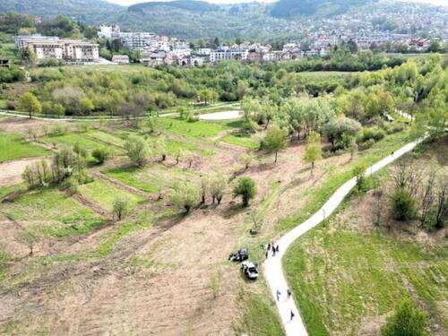 Nihad Uk: Započele pripreme za sadnju 'Memorijalne šume sjećanja' u Sarajevu
