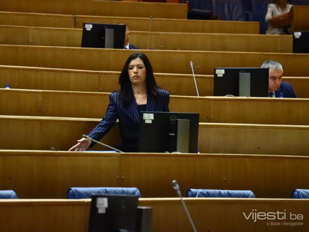 Nijedan zaključak o nezastupljenosti Bošnjaka u institucijama BiH nije prihvaćen