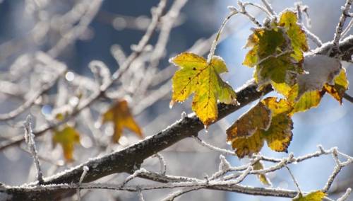 Niska naoblaka u Krajini, sjeveru i sjeveroistoku Bosne, u ostatku zemlje vedro