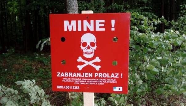 Njemačka organizovala konferenciju "Izazovi za BiH bez mina"