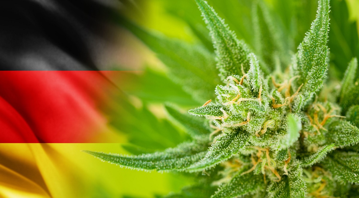 Njemačka planira legalizirati kanabis u rekreativne svrhe