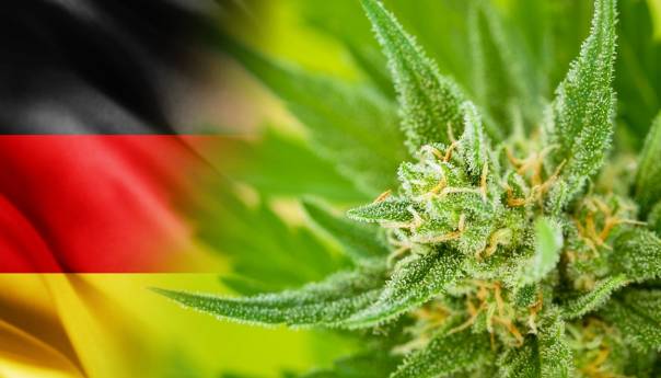 Njemačka planira legalizirati kanabis u rekreativne svrhe