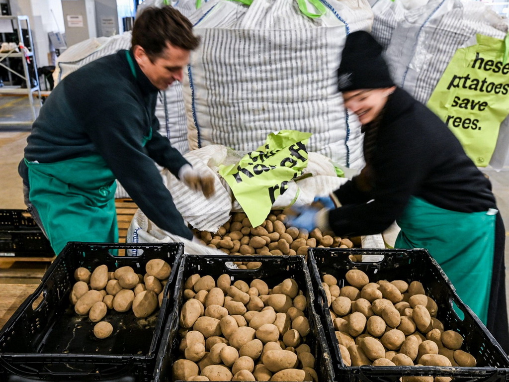Njemačka: Zbog rekordnog roda, krompir se dijeli besplatno