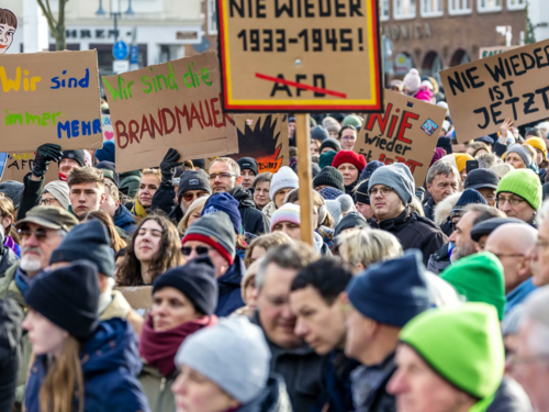 Njemačke ankete nagovještavaju da AfD gubi podršku