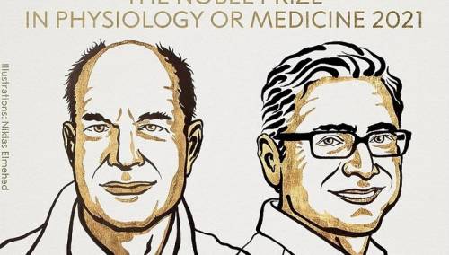 Nobelova nagrada iz medicine Amerikancima Davidu Juliusu i Ardemu Patapoutianu
