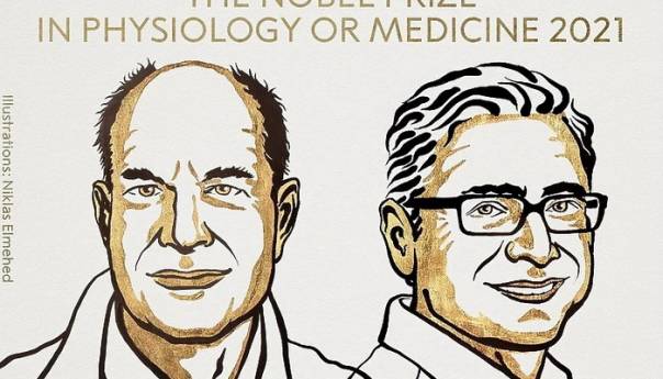 Nobelova nagrada iz medicine Amerikancima Davidu Juliusu i Ardemu Patapoutianu