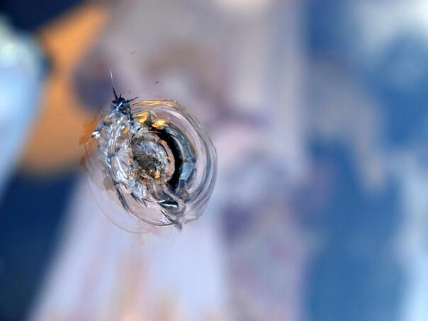 Nova pucnjava u Širokom Brijegu, metak završio u prozoru porodične kuće