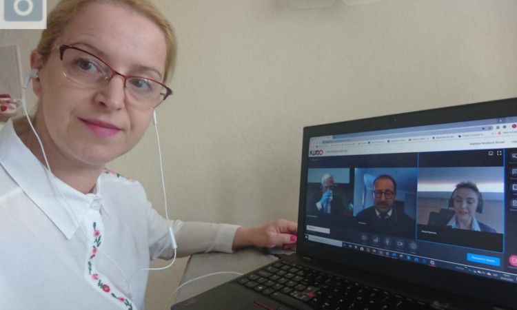 Novaković-Bursać učestvovala na video-sastancima Biroa i Stalnog komiteta PSVE