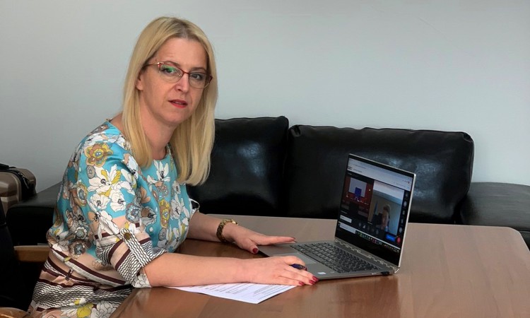Novaković – Bursać učestvovala na video-sjednici Biroa PSSE