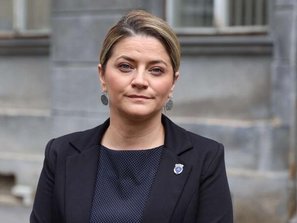 Dvojica Afganistanaca uhapšena zbog pokušaja ubistva u Blažuju